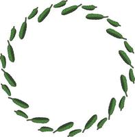 Round frame with horizontal drawing cucumber. Isolated wreath on white background for your design vector