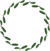 Round frame with horizontal drawing cucumber. Isolated wreath on white background for your design vector