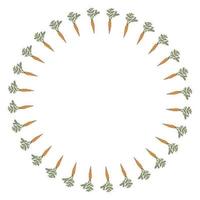 Round frame with orange carrots on white background. Isolated wreath for your design. vector