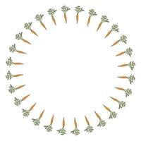 Round frame with orange carrots on white background. Isolated wreath for your design. vector