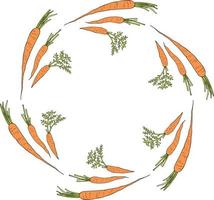 Round frame with horizontal vector carrots. Isolated wreath on white background for your design