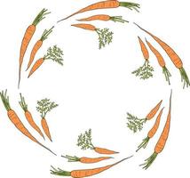 Round frame with horizontal vector carrots. Isolated wreath on white background for your design