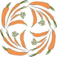 Round frame with horizontal drawing carrots. Isolated wreath on white background for your design vector