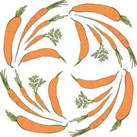 Round frame with horizontal drawing carrots. Isolated wreath on white background for your design vector