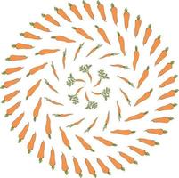 Round frame with beautiful carrots ornament. Isolated wreath on white background for your design vector