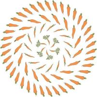 Round frame with beautiful carrots ornament. Isolated wreath on white background for your design vector