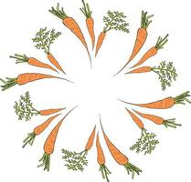 Round frame with vertical vector carrots. Isolated wreath on white background for your design