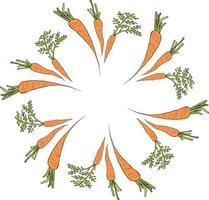 Round frame with vertical vector carrots. Isolated wreath on white background for your design