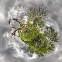 green tiny planet in blue sky with beautiful clouds. Transformation of spherical panorama 360 degrees. Spherical abstract aerial view. Curvature of space. photo