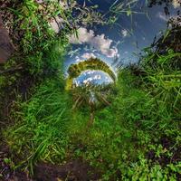 green tiny planet transformation of spherical panorama 360 degrees. Spherical abstract aerial view on forest. Curvature of space. photo