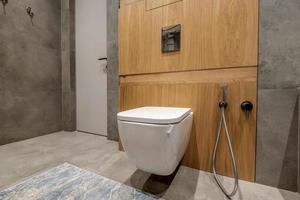 toilet and detail of a corner shower bidet with wall mount shower attachment photo