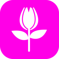 Flower icon flora sign symbol design png