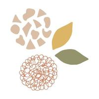 Vector elements in doodle, boho, hand draw style. Flat illustration for design and decoration. Spots, round doodles, leaves