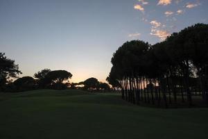 campo de golf al atardecer foto