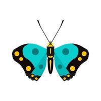 Butterfly top view vector decoration wildlife wings icon. Illustration shape insect exotic cartoon above