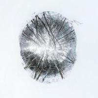 pequeño planeta de invierno en el bosque cubierto de nieve. transformación de panorama esférico 360 grados. vista aérea abstracta esférica en el bosque. curvatura del espacio. foto