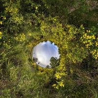 Blue little planet. Inversion of tiny planet transformation of spherical panorama 360 degrees. Spherical abstract aerial view. Curvature of space. photo