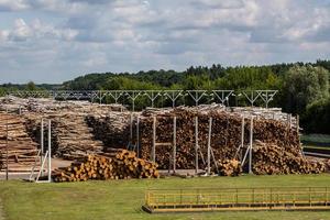 Warehouse of firewood, stacks of firewood, pile of firewood. Wooden background closeup at the wood processing plant photo