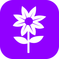 flor icono flora signo símbolo diseño png