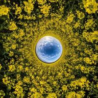 inversion of Little planet transformation of spherical panorama 360 degrees. Spherical abstract aerial view in rapeseed field with awesome beautiful clouds. Curvature of space. photo