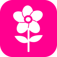 Flower icon flora sign symbol design png