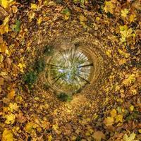 Inversion of tiny planet transformation of spherical panorama 360 degrees. Spherical abstract aerial view on yellow maple forest. Curvature of space. photo