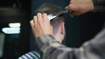 Barber trims back of head hair of client with comb and scissors video