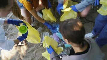 vervuild strand schoongemaakt omhoog door een groep van mensen video