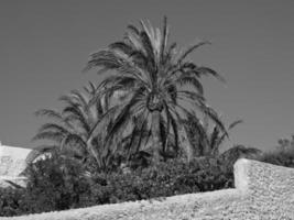 Ibiza island in the mediterranean sea photo