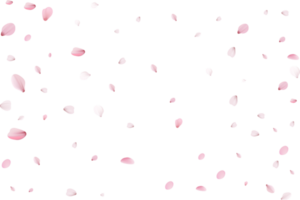 roze sakura bloemblaadjes png