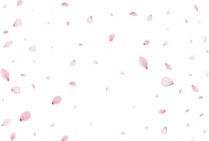 Pink Sakura petals png