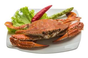 Boiled crab on the plate and white background photo