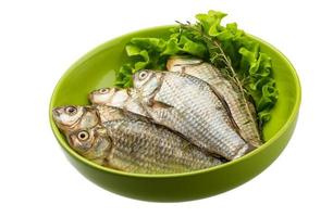 Crucian fish in a bowl on white background photo