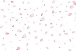 rosa sakura petali png