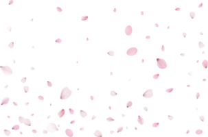 Pink Sakura petals png