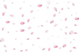 rosa sakura petali png