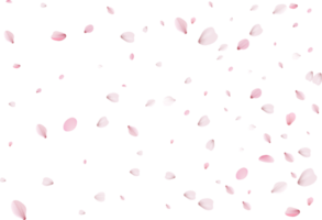 Pink Sakura petals png