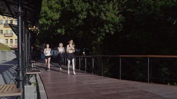 grupo de mujeres entrenamiento fitness al aire libre video