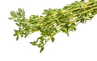 Thyme branch on white background photo