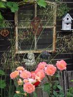 bleeding flowers in a german garden photo