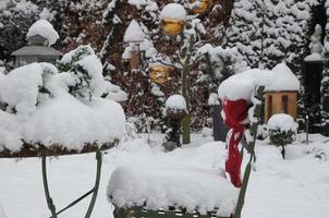 winter time in a german garden photo