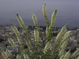 la ciudad de nápoles foto