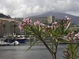 monaco at the mediterranean sea photo