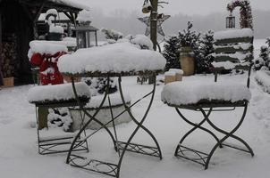 winter time in a german garden photo