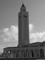 the city of tunis photo