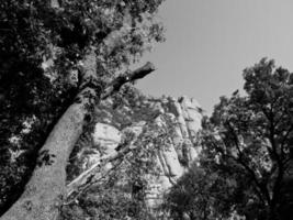 the convent of Montserrat photo