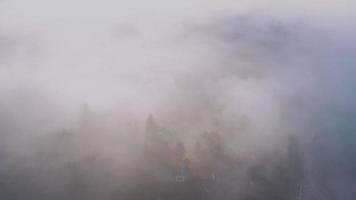 árboles apenas visibles a través de una densa niebla matutina en las montañas de los Cárpatos en Ucrania video