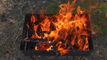 le feu flambe dans une fosse entourée d'arbres dans une forêt video