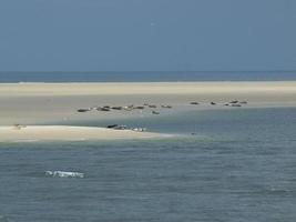 the island of Borkum in the north sea photo