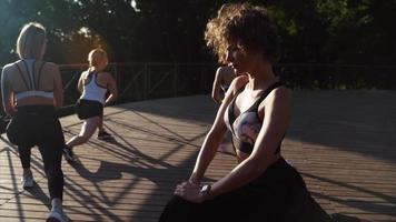 Frauen Gruppentraining Fitness im Freien video